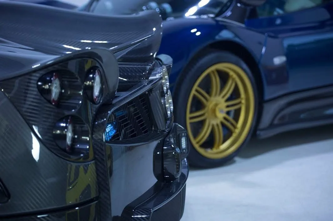 Pagani Zonda pair detail